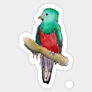 Quetzal in Ink Sticker